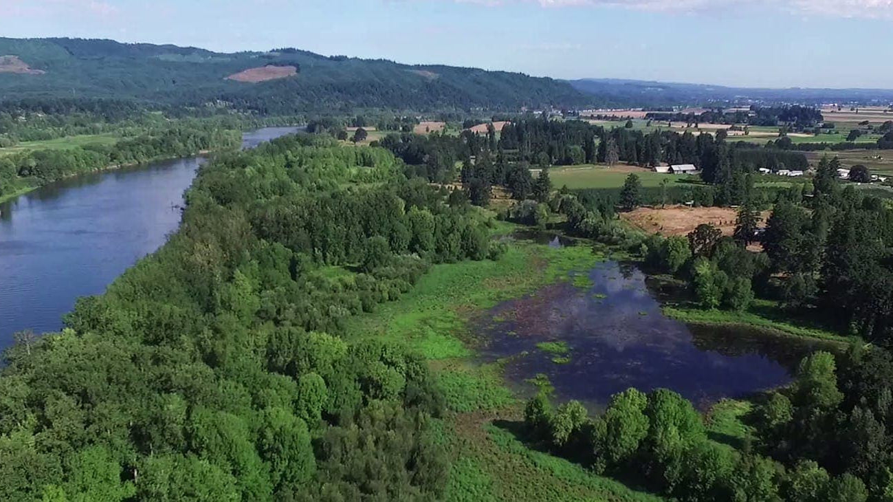 Soft Gold on the Columbia: Sauvie Island’s Role in the Beaver Boom