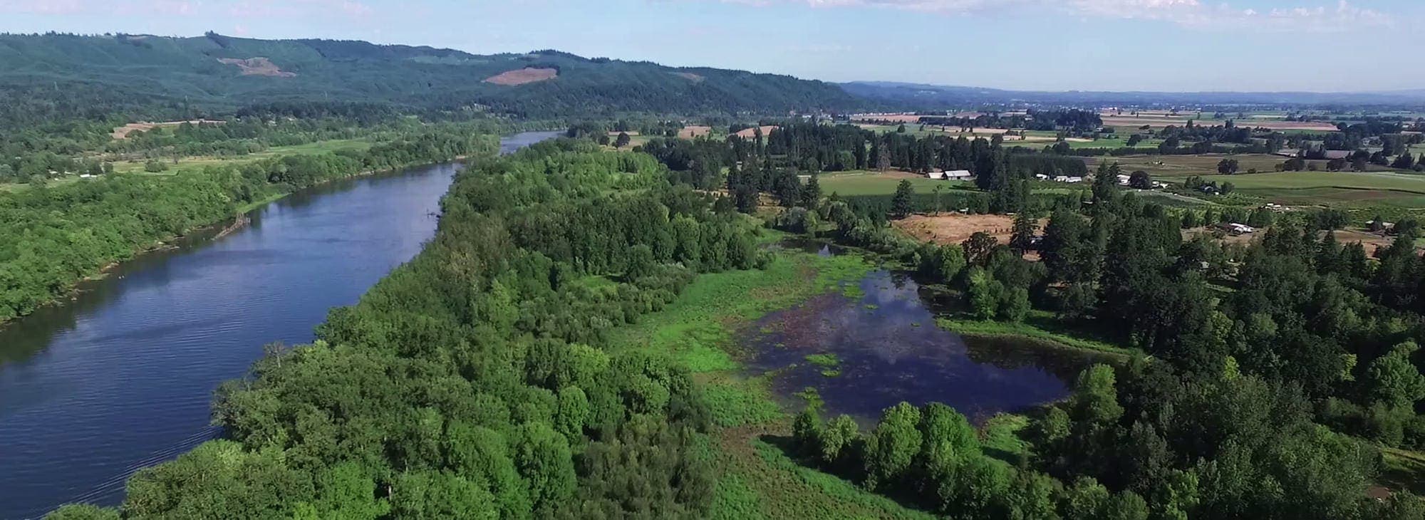 Soft Gold on the Columbia: Sauvie Island’s Role in the Beaver Boom